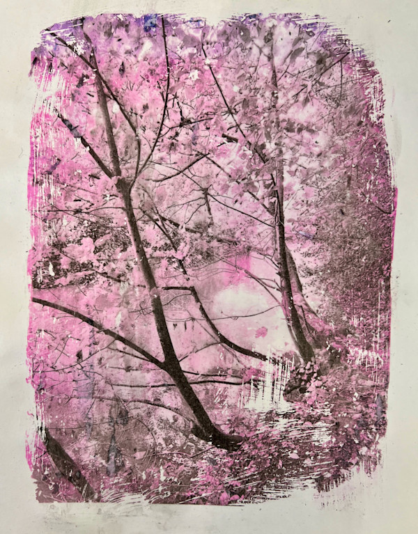 Trees in Pink by Julie Galante, Image 1.