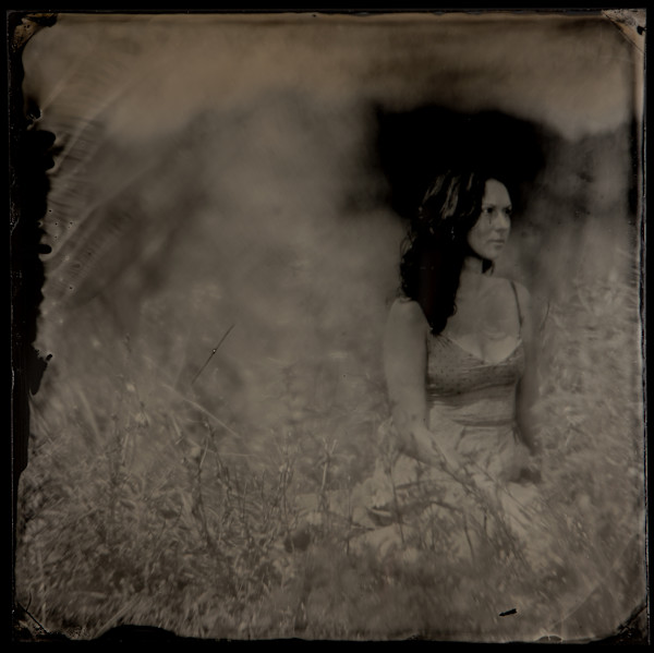 Amongst the Field of Wildflowers by Daniel Afzal, Image 1.