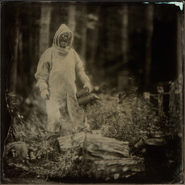 The Beekeeper by Daniel Afzal, Image 1.