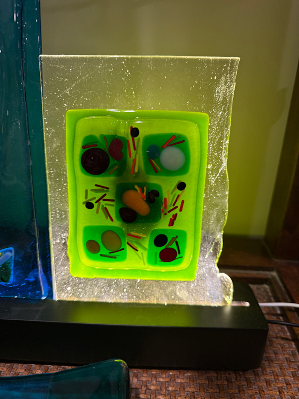 Lime Abstract on Clear by Candice Treat Murphy