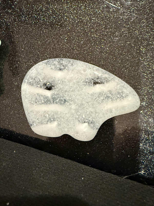 Glow-in-the-Dark White and Black Pocket Bear by Candice Treat Murphy