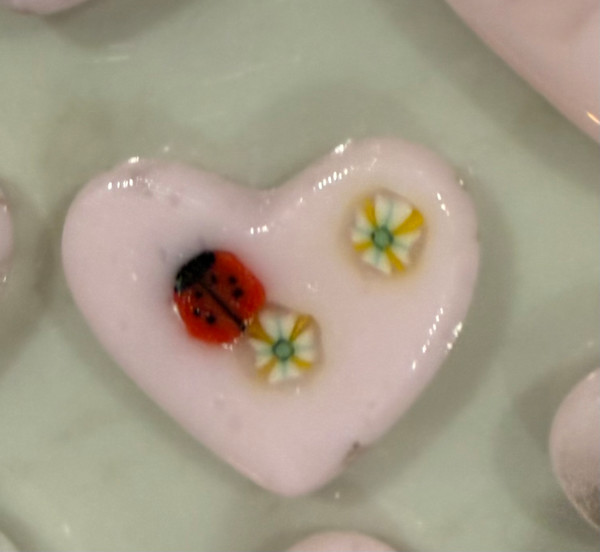 2" January 2026 Pocket Heart #12 (Ladybug) by Candice Treat Murphy