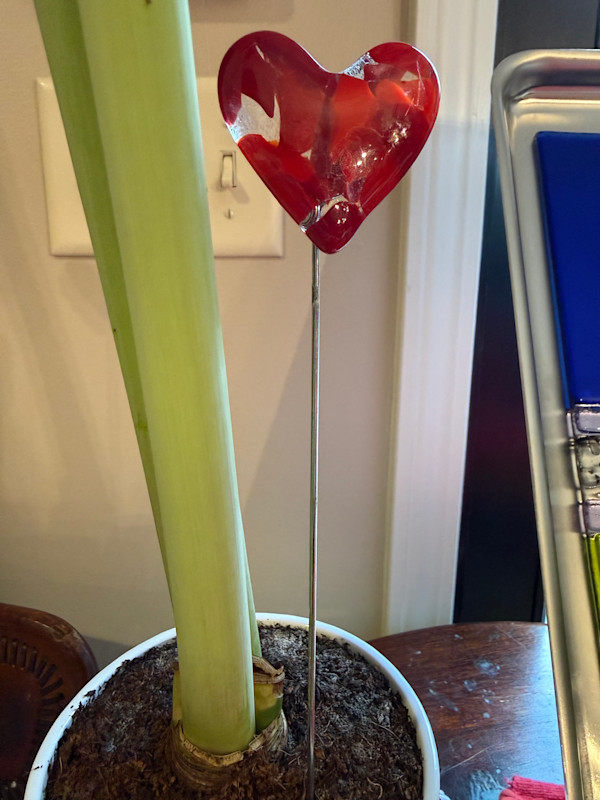 2" Reds Pocket Heart Plant Stake #2 by Candice Treat Murphy, Image 8.