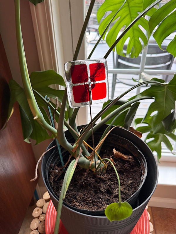 3.5" Plant Stake Red Squares #1 by Candice Treat Murphy, Image 5.