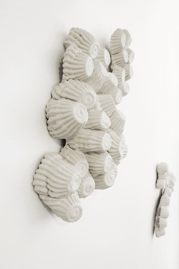 Les moullusques by Thomas Tronel Gauthier