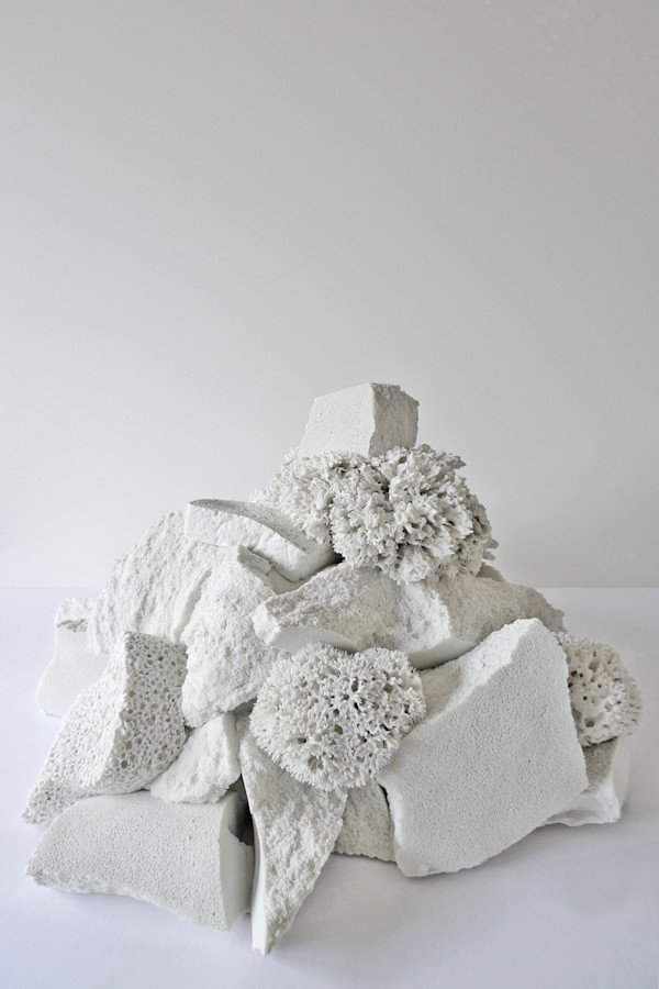 Récif d’éponges (Capita vitium) by Thomas Tronel Gauthier