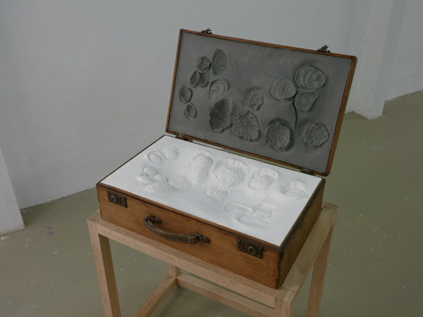 Valise aux morphogénèses by Thomas Tronel Gauthier