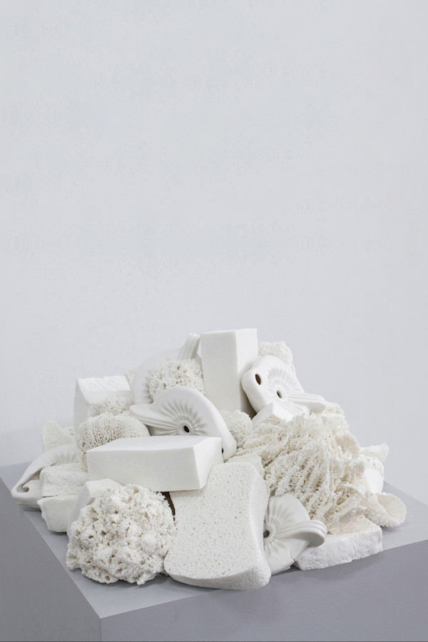 Récif d’éponges aux lampes à huile by Thomas Tronel Gauthier