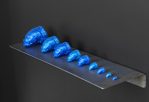 L'Hippurite retrouvée by Thomas Tronel Gauthier