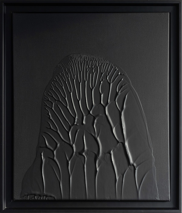 Peinture Noire F10#1 by Thomas Tronel-Gauthier