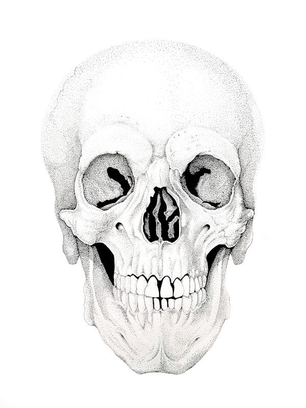 Daisy's Lover Skull by Breanna Cole, Image 1.