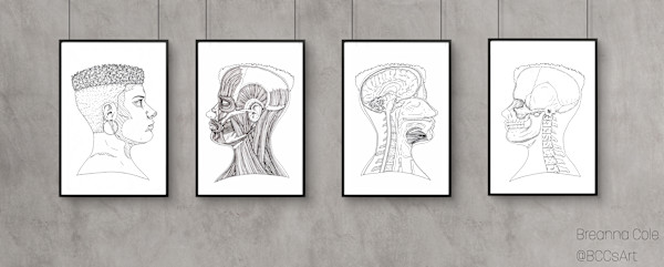 Anatomical Pages by Breanna Cole
