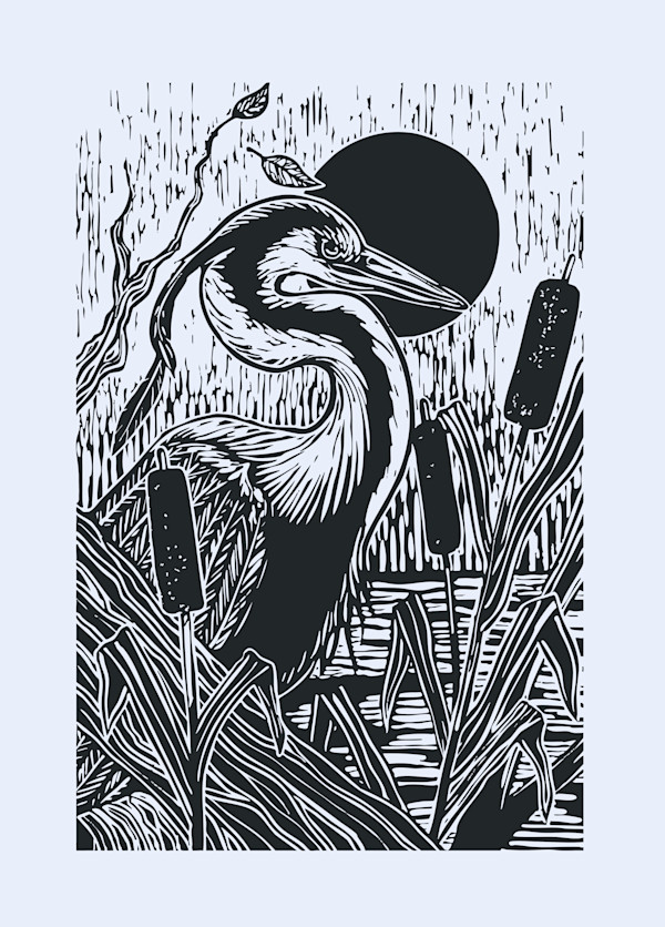 Heron by Breanna Cole