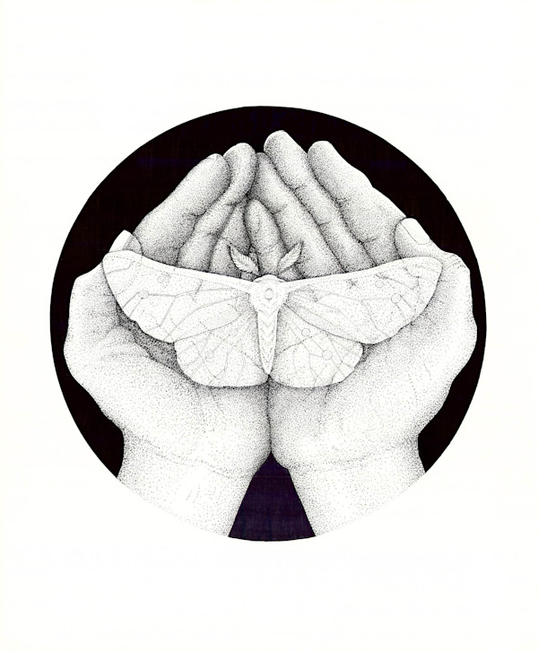 Isolation by Breanna Cole