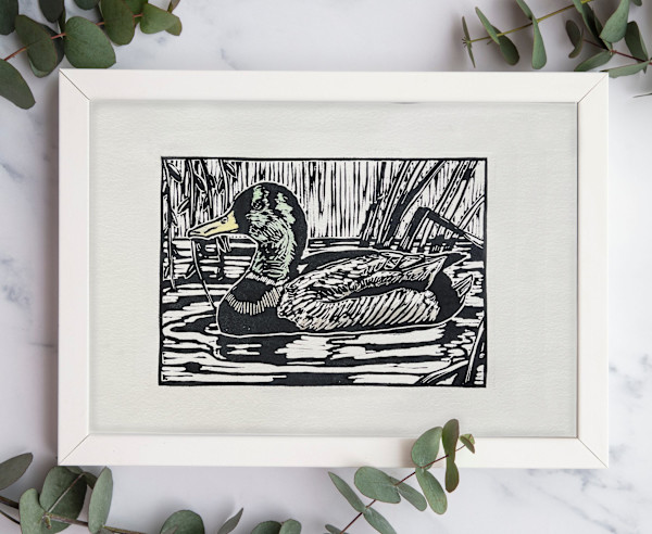 Mallard Duck Drake by Breanna Cole, Image 1.