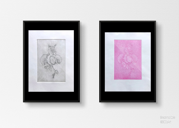 Orchids by Breanna Cole, Image 4.