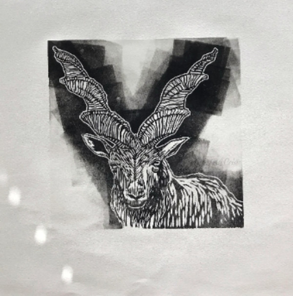 Markhor Goat by Breanna Cole