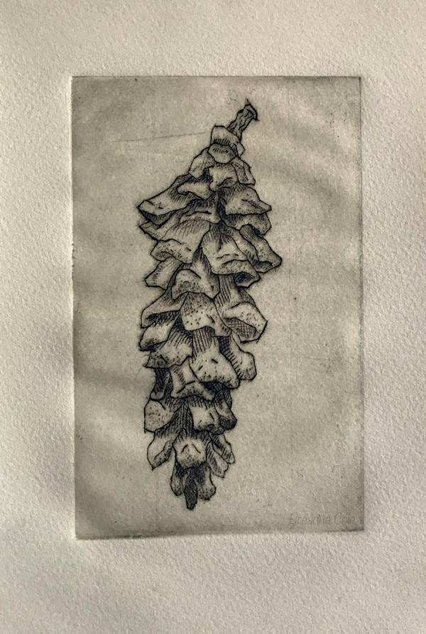 Pinecone by Breanna Cole, Image 1.