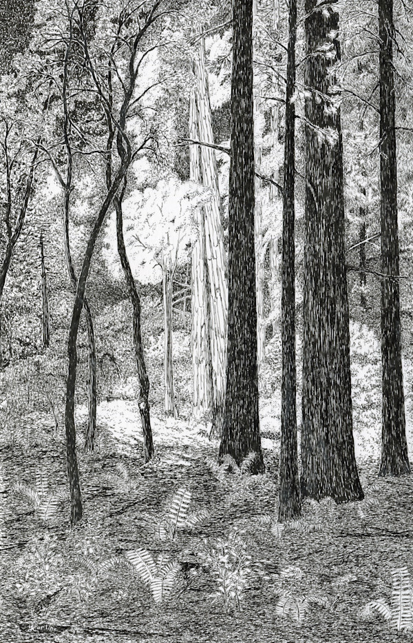 Sunlight and Shadow by Matt Harline