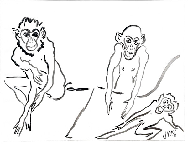 Three Monkeys by Vivian Reiss, Image 13.