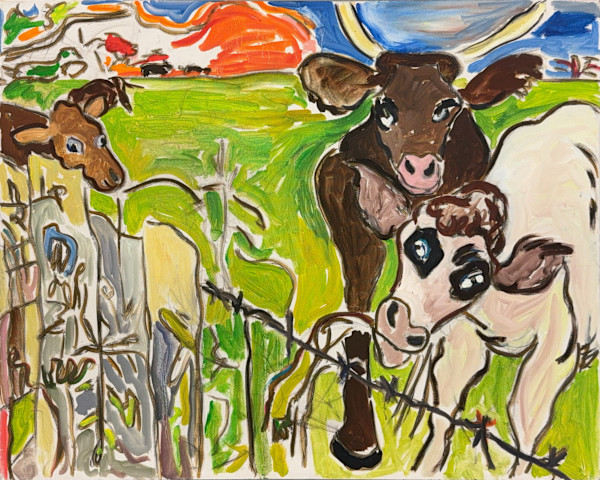 brown_and_white_cows_stoakr_16 by Vivian Reiss, Image 4.