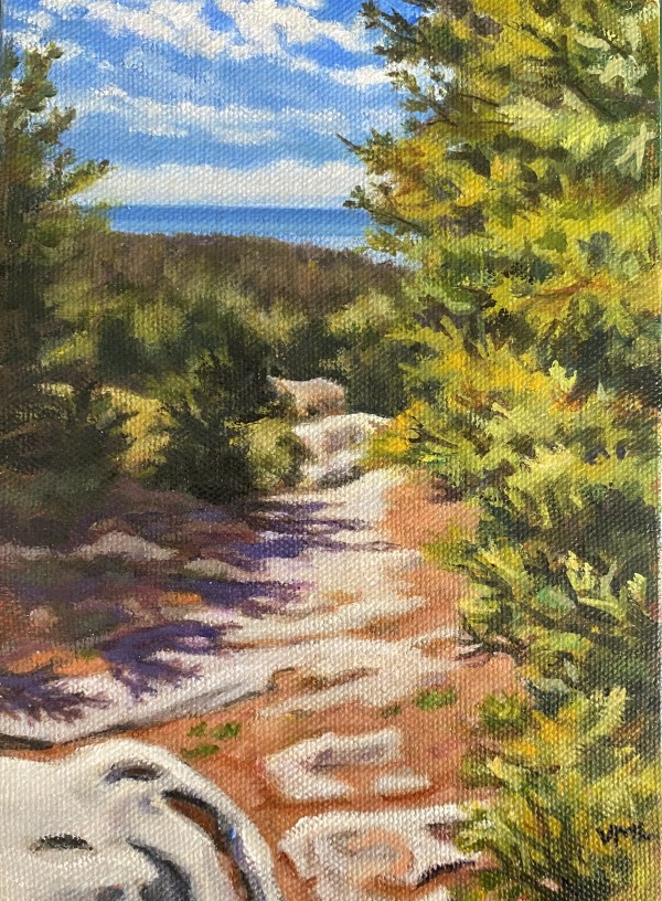 Acadia Trail