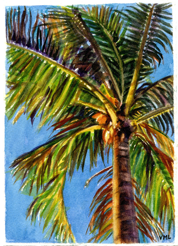Palm Study by Victoria M  Le  Vine