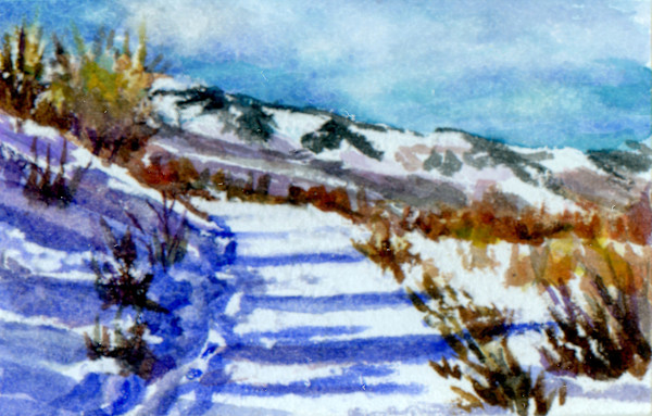 Ability Trail by Victoria M  Le  Vine, Image 1.