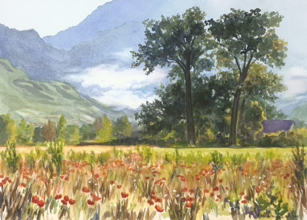 Poppy Fields, Lyons by Victoria M  Le  Vine