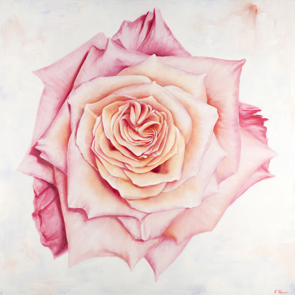 Pink Heirloom Rose by Robyn Palescandolo