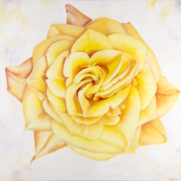 Yellow Heirloom Rose by Robyn Palescandolo