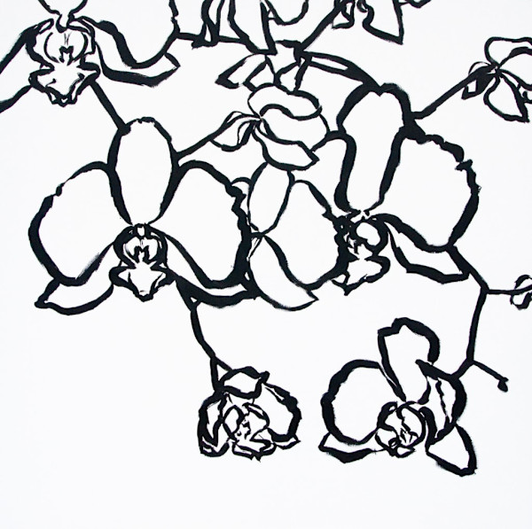 Graphic Orchids by Robyn Palescandolo