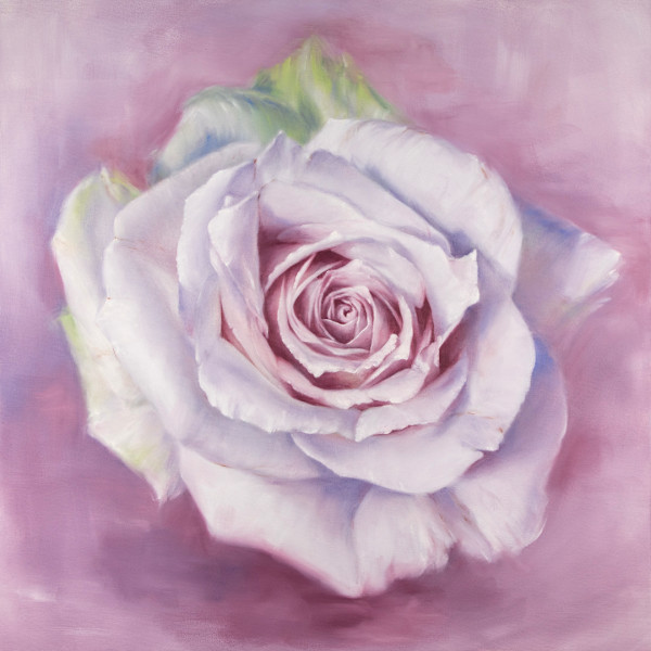 White Rose in a Lavender Haze by Robyn Palescandolo