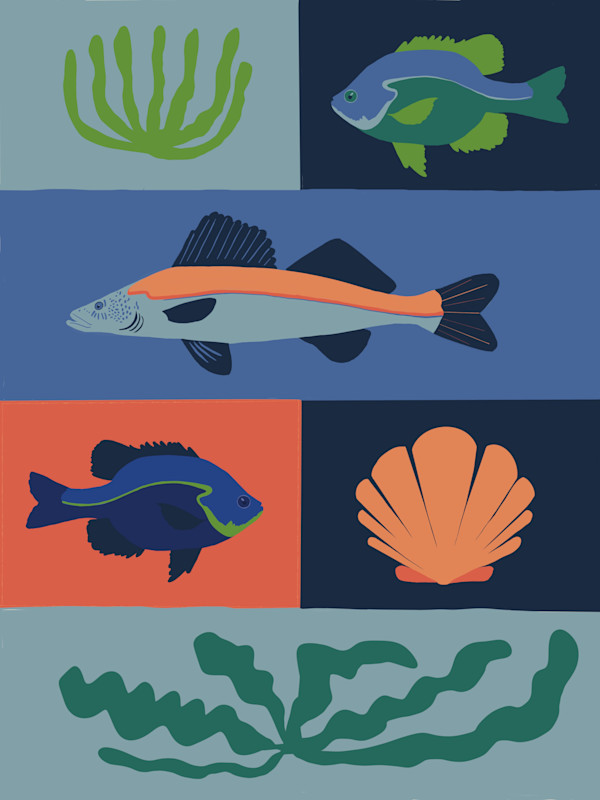 PNW Marine Creatures by Julia Kagan, Image 1.