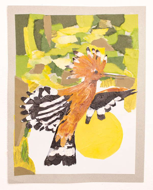 Hoopoe in flight by Julia Kagan, Image 1.