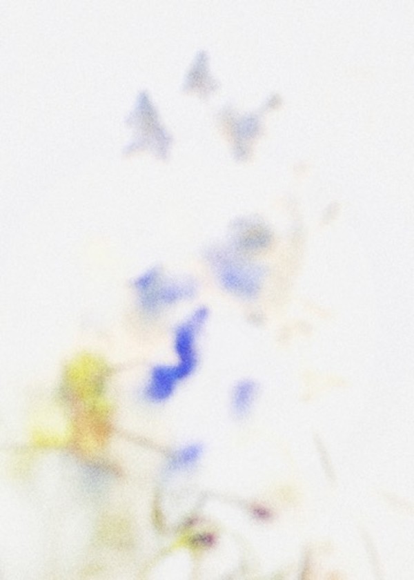Taurus by Arthur Fields, Image 12.