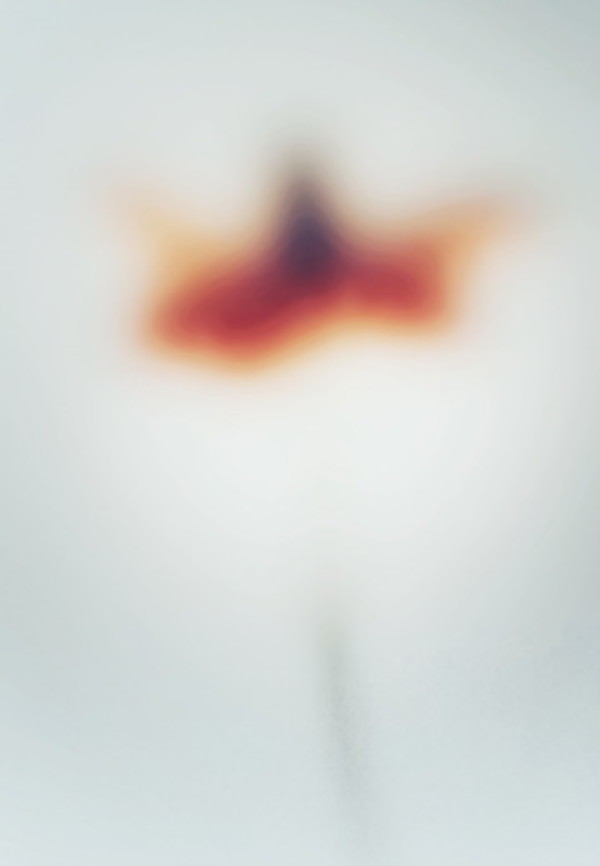 Canopus by Arthur Fields, Image 6.