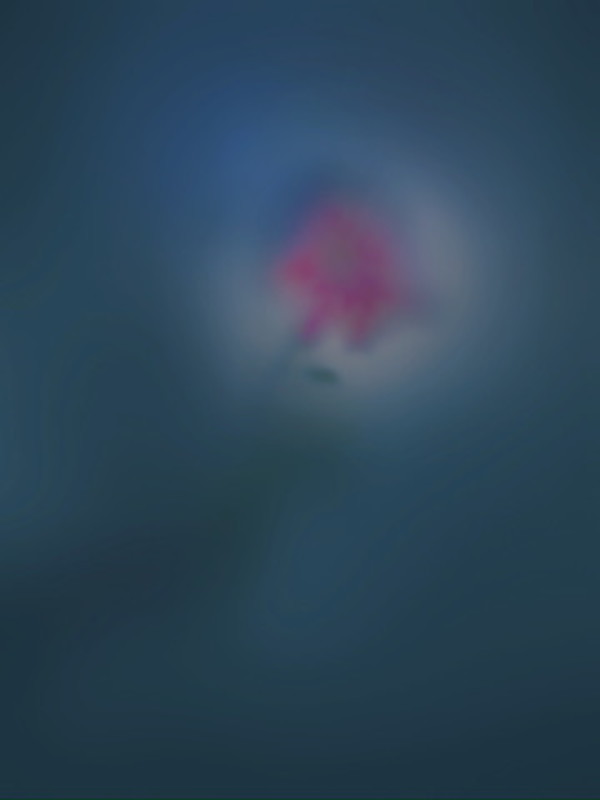 Virgo by Arthur Fields, Image 14.