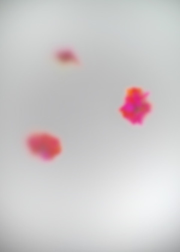 Carina by Arthur Fields, Image 15.