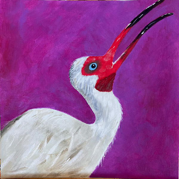 Blue Eyed Wader (Ibis) by Sylvia Montgomery