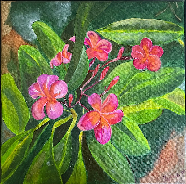 Tropical Grace by Sylvia Montgomery