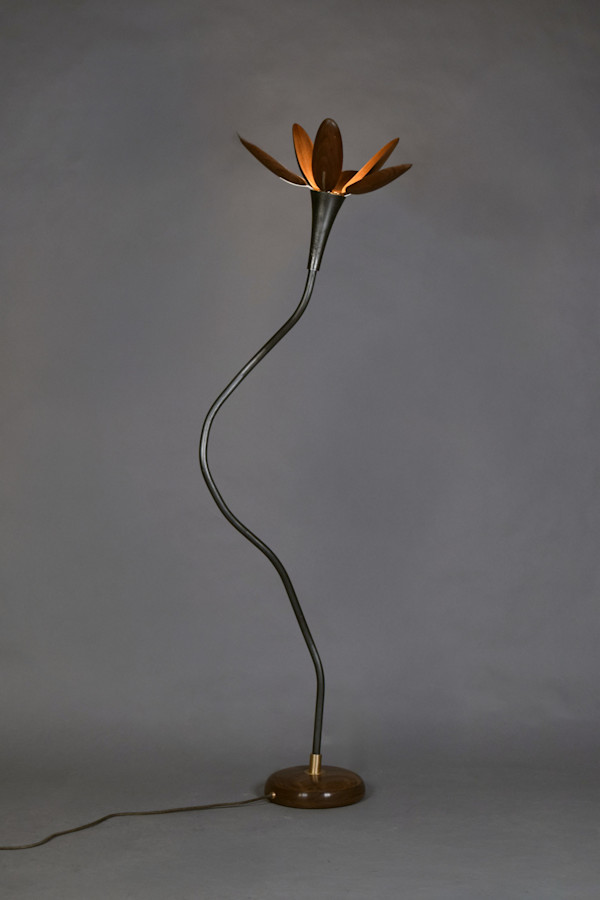 Pink Rain Lilly by Myles Vasta