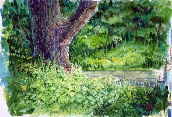 Forest Pond by Roy Hocking