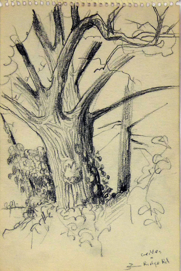 Geddes & Ridge Road, from "The Spiral Sketch Book No. 894" by Roy Hocking