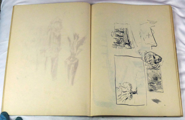 Page 15 & 16, from "Journal #1" by Roy Hocking