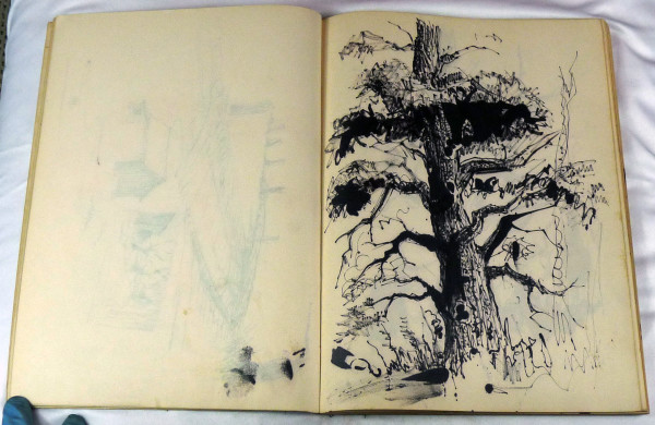Page 19 & 20, from "Journal #1" by Roy Hocking