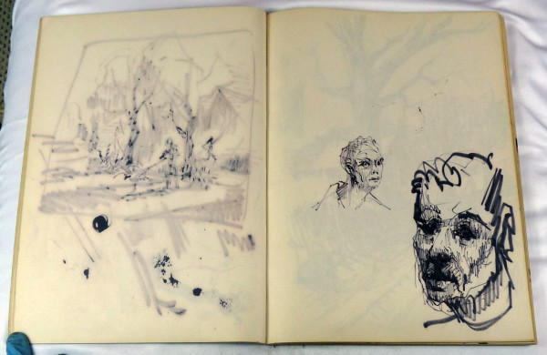 Page 27 & 28, from "Journal #1" by Roy Hocking