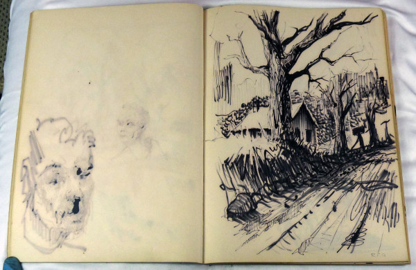 Page 29 & 30, from "Journal #1" by Roy Hocking