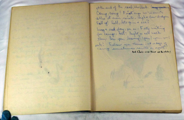 Page 7 & 8, from "Journal #1" by Roy Hocking
