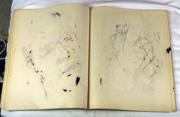 Page 85 & 86, from "Journal #1" by Roy Hocking